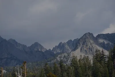 DSC_3018 (Large).JPG